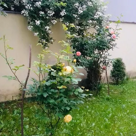 Appartamento Joanna