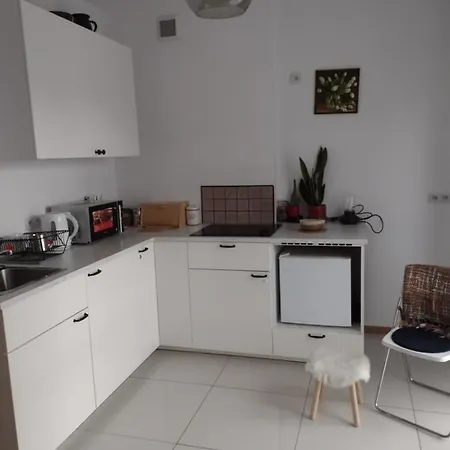 Joanna Apartment Krakow